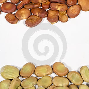 Dry seeds of broad bean of different colors