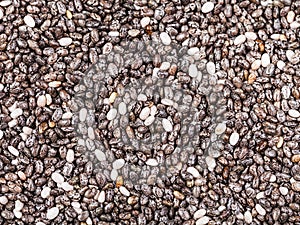 Dry seeds of Chia (salvia hispanica) plant