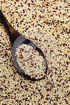 Dry seeds mixed quinoa
