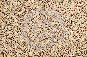 Dry seeds mixed quinoa