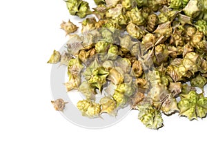 Dry Seeds of Tribulus terrestris plant