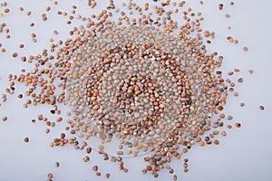 Dry selected Radish Seeds Isolated on White Background.