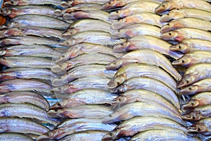 Dry Sheatfish ready for sale atDon Wai floating