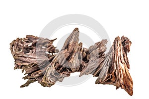 Dry snag of a coniferous tree, old weathered relief wood isolated on a white background