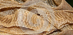 dry snake skin after molting with scales of many geometric figures