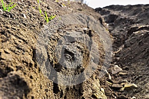 Soil abrasion erosion photo