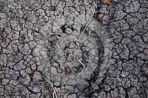 Dry soil abstract background. Drought. Gray dry soil. Soil background. Cracked soil background. Earth pattern. Soil texture. Crack