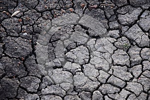 Dry soil abstract background. Drought. Gray dry soil. Soil background. Cracked soil background. Earth pattern. Soil texture. Crack