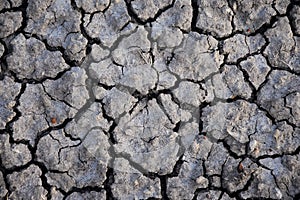 Dry soil abstract background. Drought. Gray dry soil. Soil background. Cracked soil background. Earth pattern. Soil texture. Crack