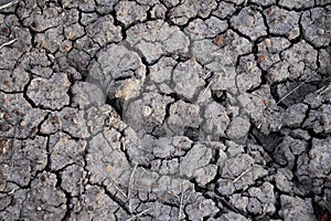 Dry soil abstract background. Drought. Gray dry soil. Soil background. Cracked soil background. Earth pattern. Soil texture. Crack