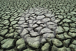 Dry soil background photo