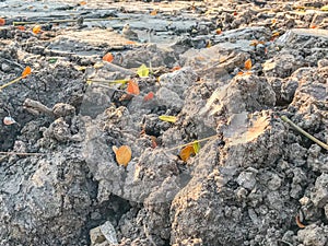 Dry soil in construction site