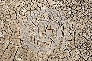 Dry soil with crack