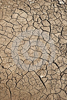 Dry soil with crack