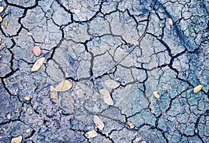 Dry soil with crack and fallen yellow leaf. Arid land texture. Drought land top view photo. Grey cracked floor surface