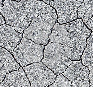 Dry soil cracks