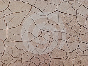 Dry soil looks like natural cracks giving the impression of dryness on the surface photo