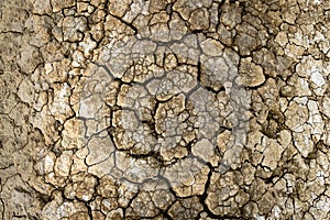 Dry soil surface with deep cracks textured background. Dried and cracked soil. Climate change. Desertification. Cracked earth,