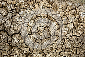 Dry soil surface with deep cracks textured background. Dried and cracked soil. Climate change. Desertification. Cracked earth,