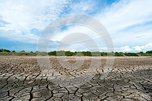 Dry soil texture background