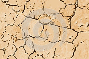 Dry soil vector illustration