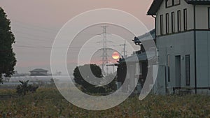 Dry Soyfield and Villa, Sunrise and electrical grid in Kyushu Countryside, Japan