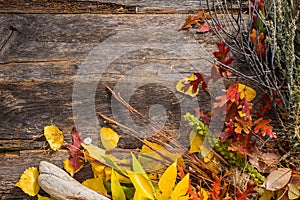 Dry Stalks Fall Background