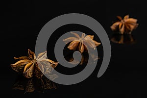 Dry star anise isolated on black glass