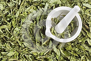 Dry stevia leaves - Stevia rebaudiana.