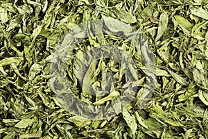 Dry stevia leaves - Stevia rebaudiana.