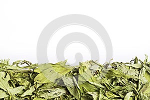 Dry stevia leaves - Stevia rebaudiana.