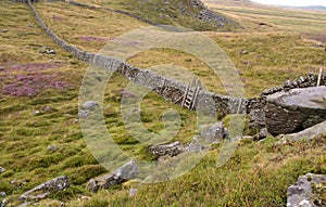 Dry stone with ladder stile on moorland.