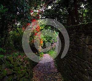 Dry stone, sometimes called dry stack or drystane