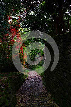 Dry stone, sometimes called drystack or drystane