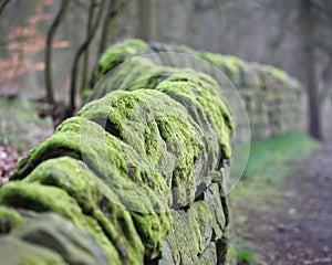 Dry Stone Wall