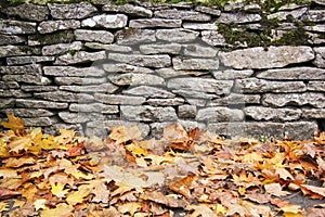 Piedra muro otono hojas 