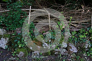 Dry Stone wall & hedgelaying