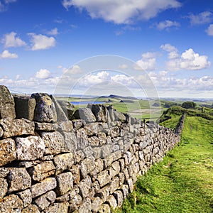 Dry Stone Wall Northumberland