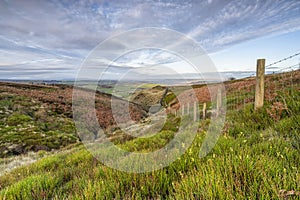 dry stone wall in yorkshire moorland