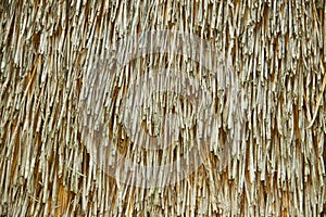 Dry straw bundle as texture or background.