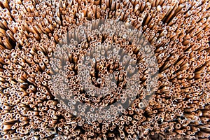 Dry straw bundle as texture or background