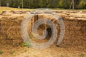 dry straw on the farm. Animal feed in winter