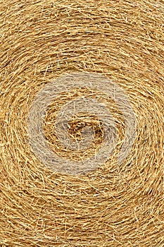 Dry straw roll