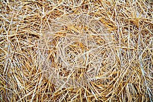 Dry straw texture background