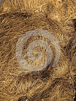 dry straw texture background