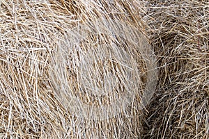 Dry straw texture, large hay stack after harvest season close up