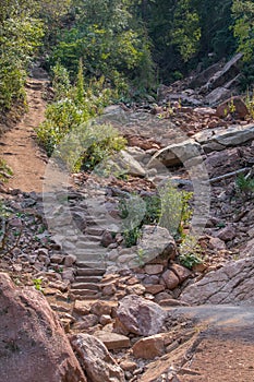 Dry Stream bed