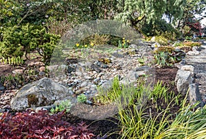 Dry Stream Bed In Spring