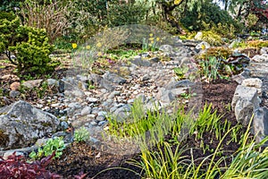 Dry Stream Bed In Spring