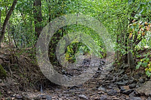 dry stream in a hot summer